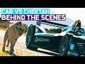 Drag Race: Formula E Car vs Cheetah (Wildlife vs Car Documentary)