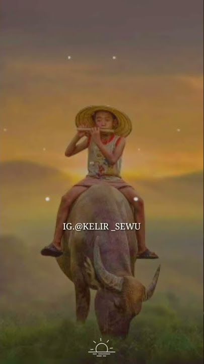 Story wa PITUTUR URIP |~| Kelir.sewu