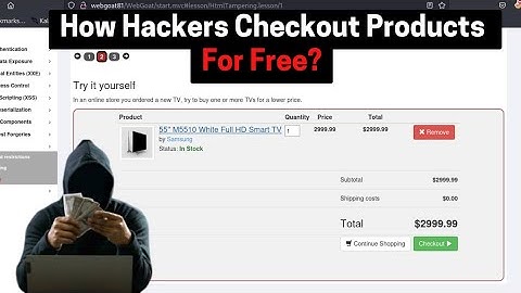 How Hackers Checkout Products For Free On Any Website | Learn To Defend Against Hackers!