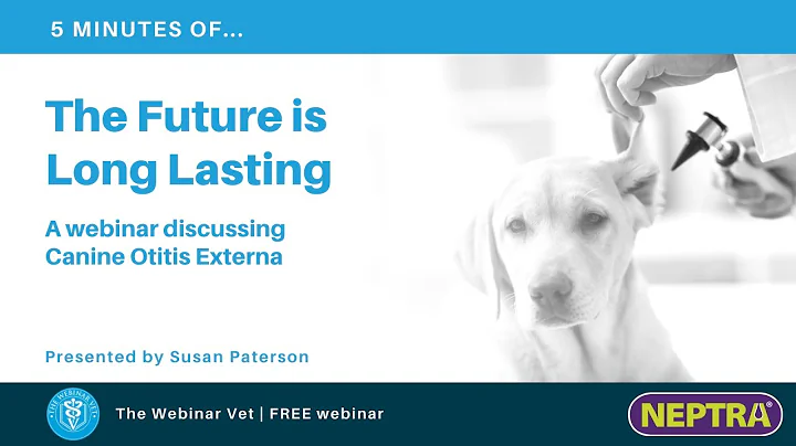 Teaser - The Future is Long Lasting (A webinar dis...
