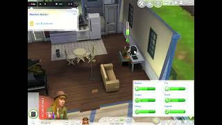 The Sims™ 4 million simoleons challenge 2