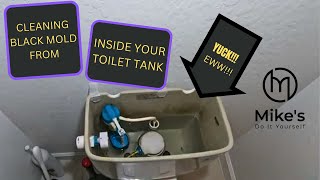 Cleaning Mold from your Toilet Tank