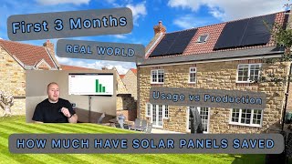 Do SOLAR PANELS SAVE Money - First 3 Months