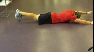 Contralateral Prone Limb Raises