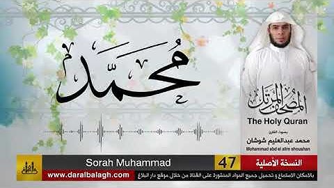 سورة محمد || القارئ  محمد عبد العليم شوشان | surat mohammad | alqari mohammad shoshan
