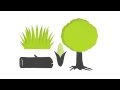 Harnessing Biomass Energy: Processes and Impacts on Environment and Health