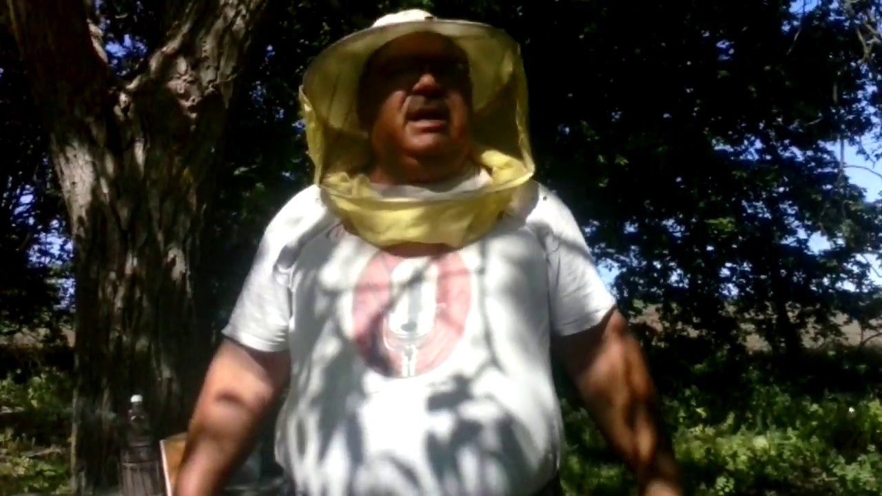 Pchelni maiki Sevdat Yakub 37