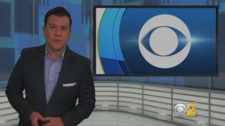 Fire Kills 25-30 Rescue Dogs At D And D Kennels In West Chicago