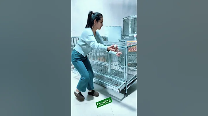 Heavy-Duty Layer Chicken Cage for Poultry Farming Success #viralshorts