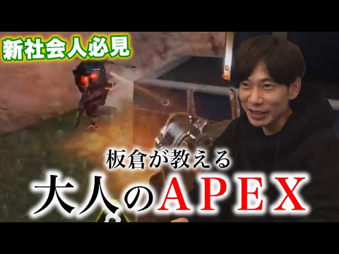 【APEX】落ち着きのある社会人APEXを誠心誠意、プレイ致しました