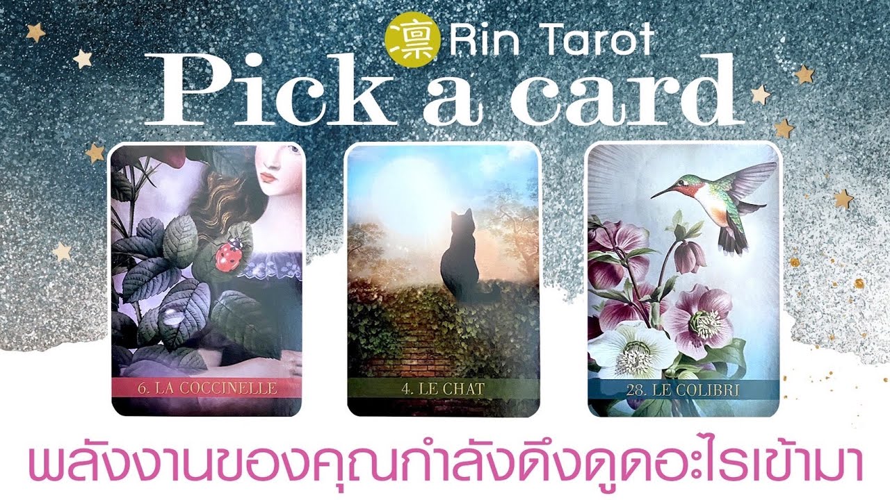 Pick a Card พลังงานของคุณกำลังดึงดูดอะไรเข้ามา ภายใน 6 เดือนข้างหน้า พร้อมอ่านพลังงานปัจจุบัน