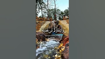 تلاوةعطرةمن كتاب الله #تيك_توك #المصحف #duet #اكسبلور #لايك #يصلك #راحة_نفسية #الرحمن #القزابري