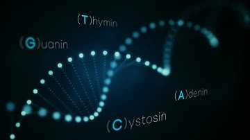 Biodivertis: Making Genetic Identity Visible.