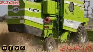 March 29, 2024New Season 2024 First Wheat Harvesting in janubi Punjab Pakistan!(Jutt Sama 44)