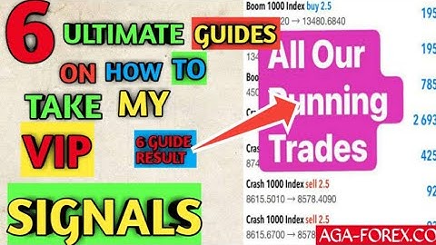 6 Ultimate Guide