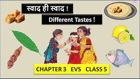 Class 5 EVS Chapter 3 | स्वाद ही स्वाद | Different tastes | From tasting to digesting | Rose Tree |