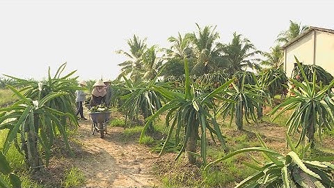 Càng Long đẩy mạnh các giải pháp giảm nghèo nhanh, bền vững