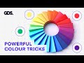 Logo Design and Color Sampling Quiz
