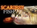 Scariest Fish | River Monsters