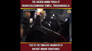 The Sacred Nandi Pooja At Arunachaleshwarar Temple Tiruvannamalai 