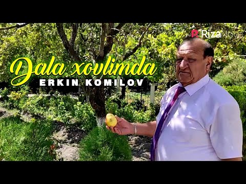 Erkin Komilov — Dala xovlimda