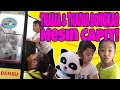 THALIA THANIA SIBUK BERESIN BONEKA DI MESIN CAPIT ‼️ | MOP KIDS