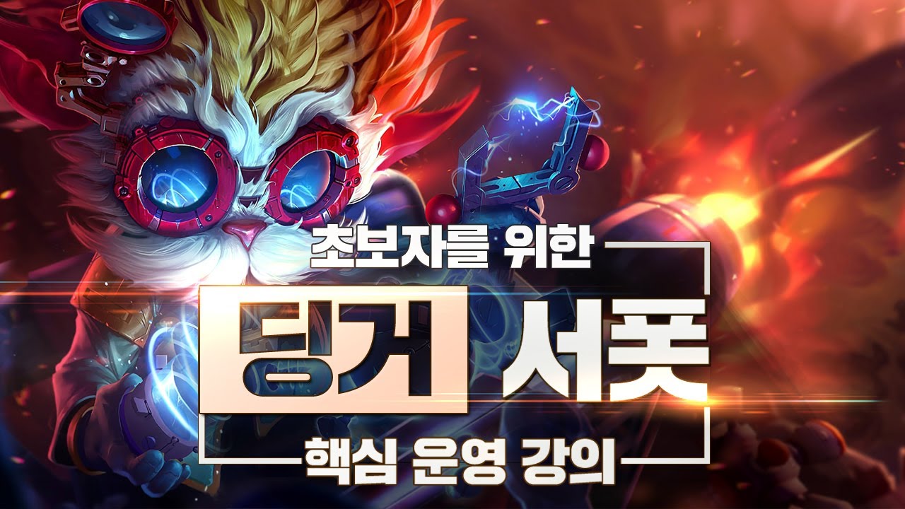 데교수의 하이머딩거 서폿 특별 강의 【 13.1 ver 】