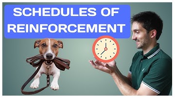 Schedules of Reinforcement in Dog Training