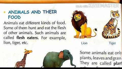 Class 2 EVS Chapter 10 Page No 151The World Of Animals