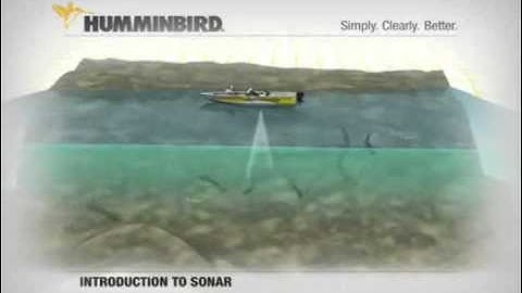 Humminbird - Introduction to Sonar