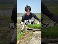 【4月限定】定期便または10kg以上のご注文に限り、送料を利休宝園が全額負担させていただきます🌾 #shorts