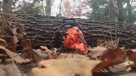 Echo CS 490 test cut