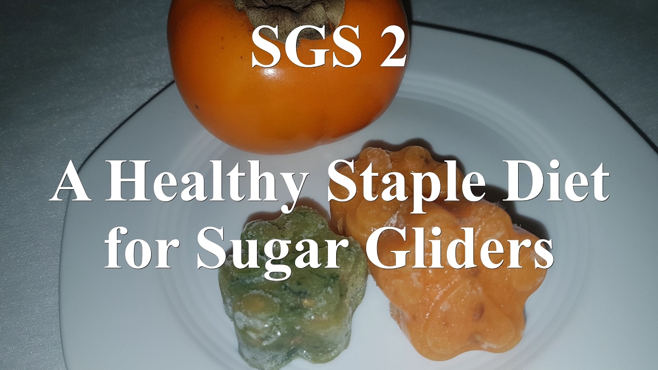fruits and vegetables for sugar gliders