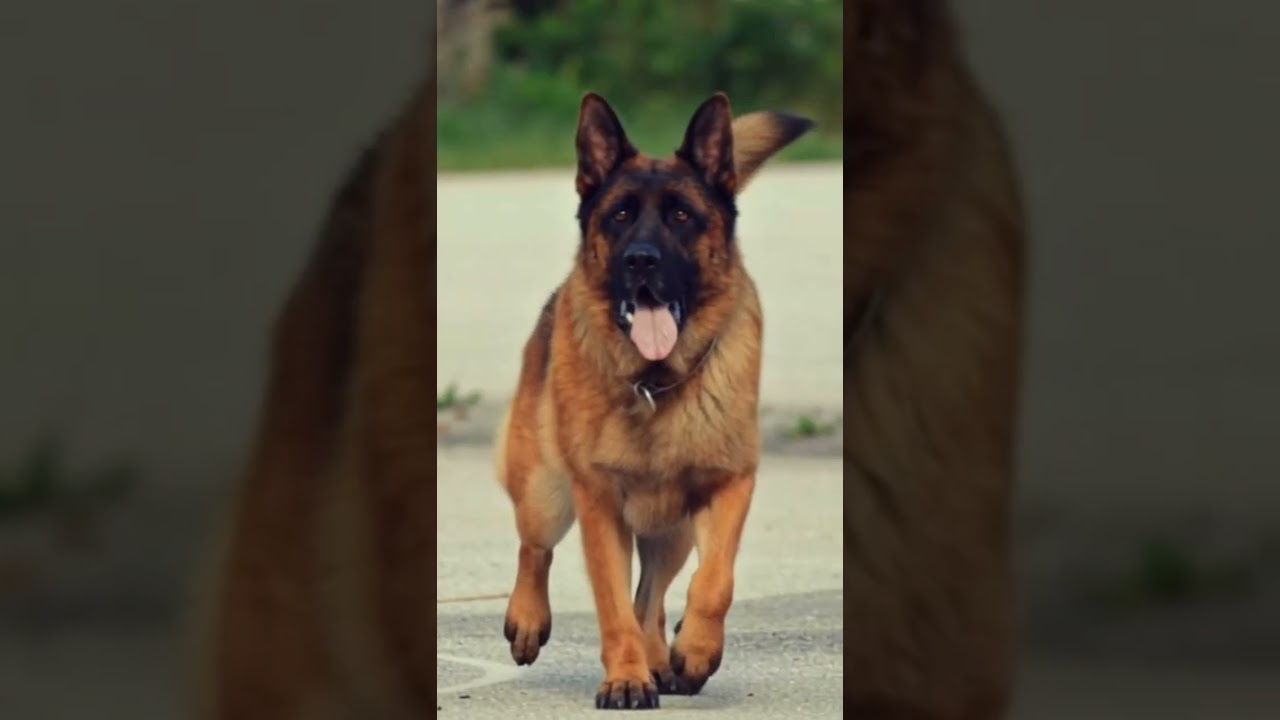 LOVE YOU ❤️❤️