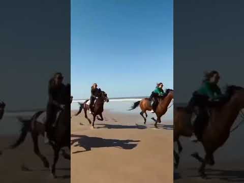 شاهد انطلاق اقوى 3 خيول في العالم مع ٣ فتيات خيالات كفوو خيل السعودية