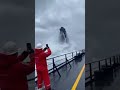 A whale the size of a building just breached RIGHT next to our ship 😱🌊#GiantWhale #WhaleBreach