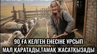 видео: 90 ҒА КЕЛГЕН ЕНЕСІНЕ ҰРСЫП МАЛ ҚАРАТАДЫ,ТАМАҚ ЖАСАТҚЫЗАДЫ.АНА КЕЛІН ОҢБАЙДЫ.АПА ЖУАС ЖАСАЙ БЕРЕДІ🥹😭😭 картинка: 90 ҒА КЕЛГЕН ЕНЕСІНЕ ҰРСЫП МАЛ ҚАРАТАДЫ,ТАМАҚ ЖАСАТҚЫЗАДЫ.АНА КЕЛІН ОҢБАЙДЫ.АПА ЖУАС ЖАСАЙ БЕРЕДІ🥹😭😭