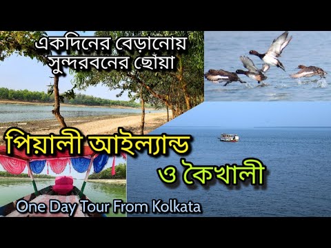 Piyali Island and Kaikhali | One Day Outing from Kolkata | Close to Sundarban