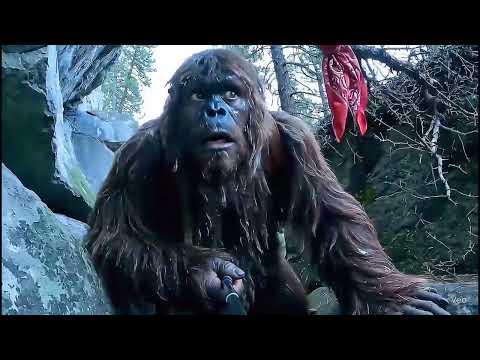 Bigfoot Lost in the Mountains – Vlog Gone Wrong