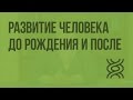 Развитие человека до рождения и после. Видеоурок по биологии 8 класс