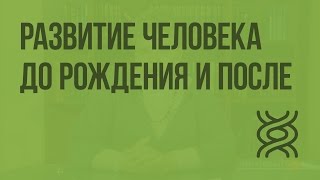 Развитие человека до рождения и после. Видеоурок по биологии 8 класс