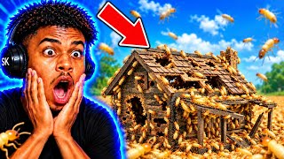  I Watched 1,000 Termites Destroy a House... and It’s SCARY! 💀