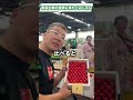 ChampGroup企業視察！青森でさくらんぼを買う　とみじゅん