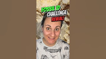 Did you guess the fossil correctly?! #learn #palaeontology #paleontology