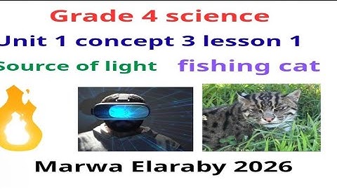 Grade 4 science unit 1 concept 3 lesson 1 sources of light Marwa Elaraby 2026