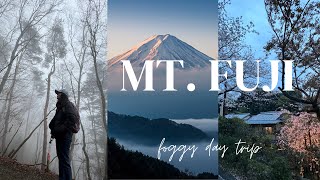 Mt. Fuji Day Trip - lake kawaguchiko, panoramic ropeway, gachapon, photobooths