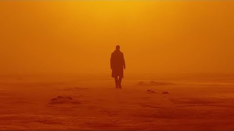 Blade Runner 2049 | stellar
