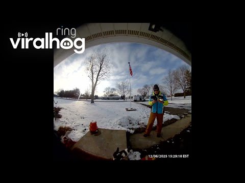 My Cat Keeps Trying to Leave With the Delivery Driver || ViralHog