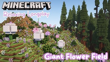 Minecraft Longplay | Flower Field Hobbit Hole (no commentary)