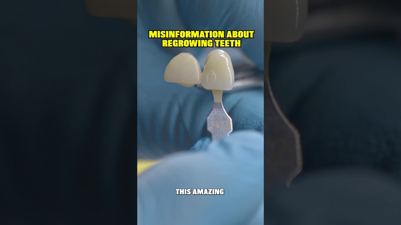 The Misinformation About REGROWING Teeth! 😮🦷